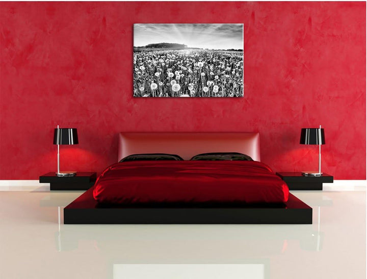 Pixxprint Pusteblumenwiese / 100x70cm Leinwandbild bespannt auf Holzrahmen/Wandbild Kunstdruck Dekor