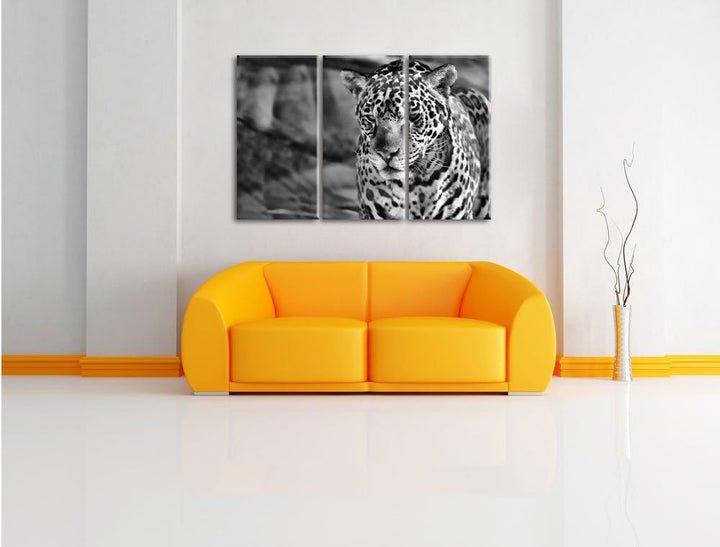 Pixxprint Leopard, Wüste, als Leinwandbild/Grösse: 3 Teilig (120x80) cm/Wandbild/Kunstdruck/fertig b