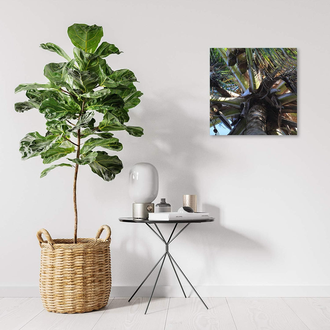 Feeby Deco Panel Palme Bild Kunstdruck modern Kokosnüsse Grün 50x50 cm M13012 50L x 50B cm, M13012 5