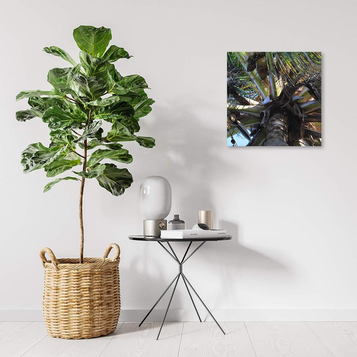 Feeby Deco Panel Palme Bild Kunstdruck modern Kokosnüsse Grün 50x50 cm M13012 50L x 50B cm, M13012 5
