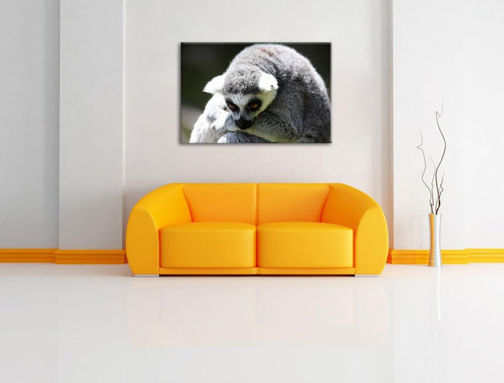 Pixxprint sitzender Katta auf Leinwand, XXL riesige Bilder fertig gerahmt mit Keilrahmen, Kunstdruck