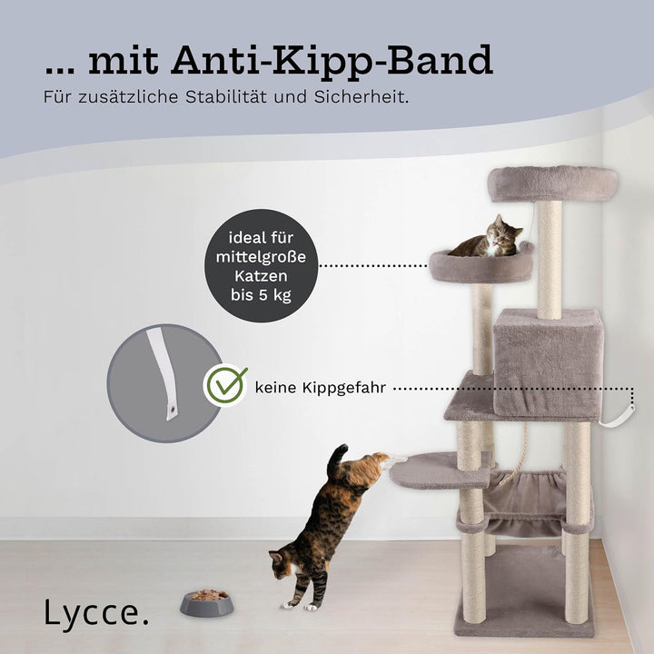 Lycce Kratzbaum gross Royal 145 cm hoch mehrstöckiger Katzenbaum inkl. 10 Kratzsäulen mit vollständi