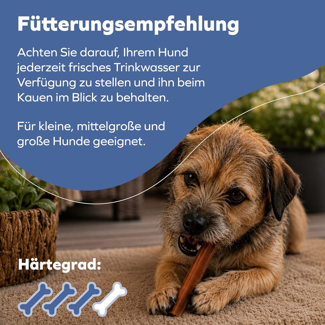 Ochsenziemer für Hunde – 12cm grosse Kauartikel - 5 Stck. für langanhaltenden Kauspass 150 g (1er Pa
