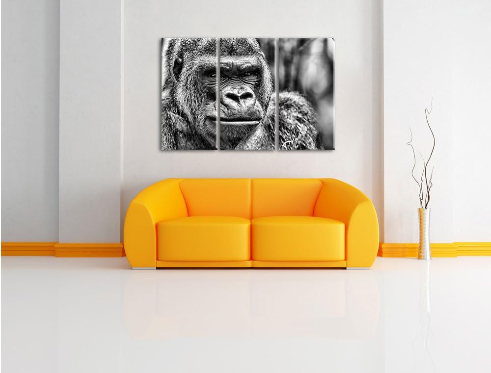 Pixxprint stolzer Gorilla als Leinwandbild/Grösse: 3 Teilig (120x80 cm) cm/Wandbild/Kunstdruck/ferti