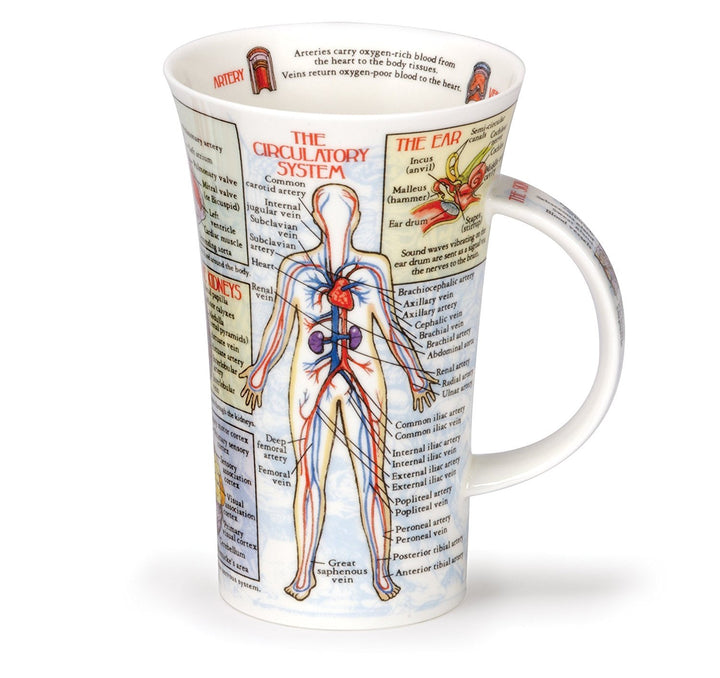 Dunoon, Trinkbecher, Glencoe, Biologie, porzellan, Bodyworks, Einheitsgrösse Knochenporzellan, Knoch
