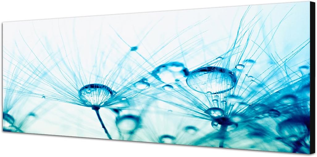 Paul Sinus Art Panoramabild auf Leinwand und Keilrahmen 150x50cm Pusteblume Wassertropfen Tau