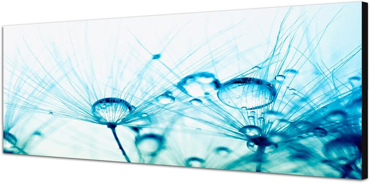 Paul Sinus Art Panoramabild auf Leinwand und Keilrahmen 150x50cm Pusteblume Wassertropfen Tau