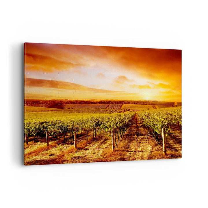 Bilder auf Leinwand 100x70cm Leinwandbild Weinberg Aussicht Landschaft Gross Wanddeko Bild Schlafzim