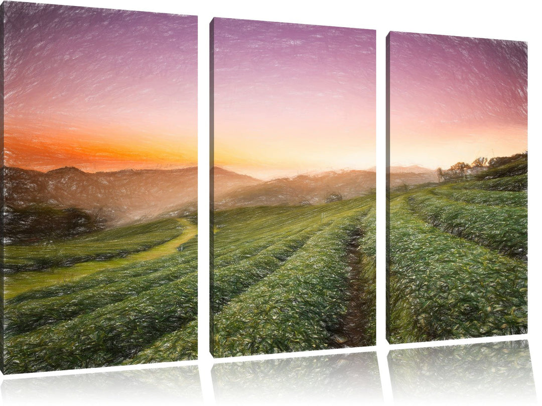 Pixxprint Sonnenaufgang Teeplantage Thailand / 3-Teilig/Gesamtmass 120cm Leinwandbild bespannt auf H