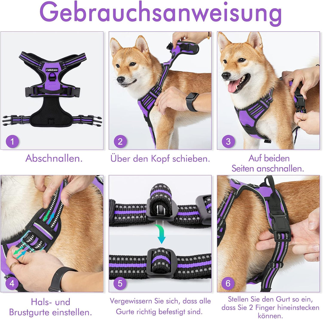 rabbitgoo Hundegeschirr Kleine Hunde, Anti Zug Geschirr mit Kontrolle, No Pull Verstellbar Hundegesc
