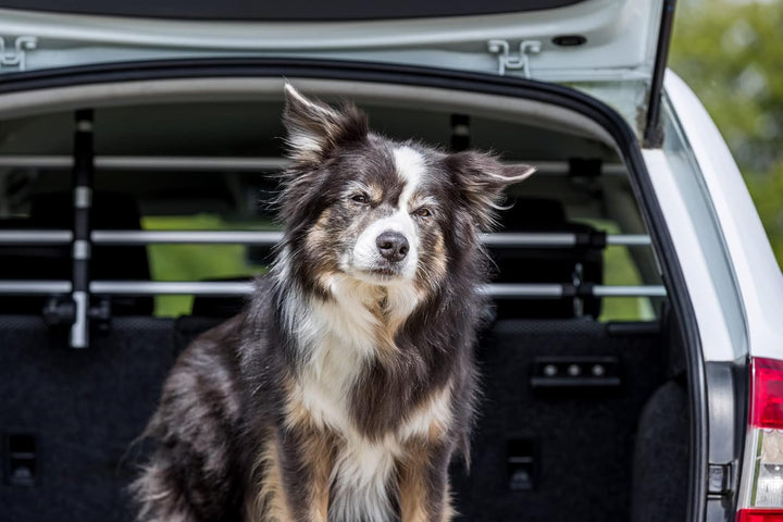 TRIXIE verstellbare Hundesicherung für den Kofferraum "Auto-Gitter, mit Kopfstützenfixierung, Breite
