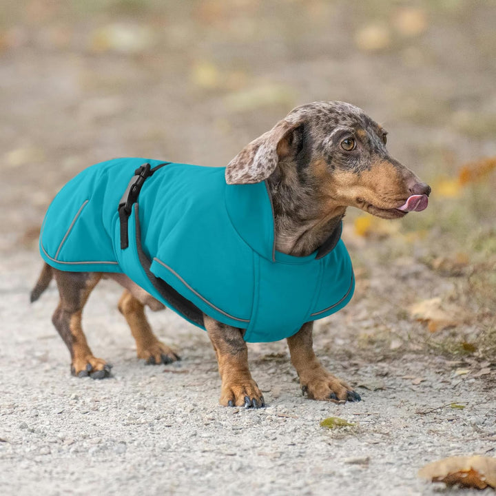 Hundemantel Dackel XL, Winddichter Wasserdichter Wintermantel Für Dackel Hunde, Hundejacke Für Gross
