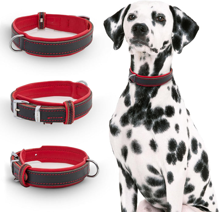 Michur Minimo Rot Hundehalsband Leder, Lederhalsband Hund, Halsband, Rot-Schwarz, Leder, in verschie