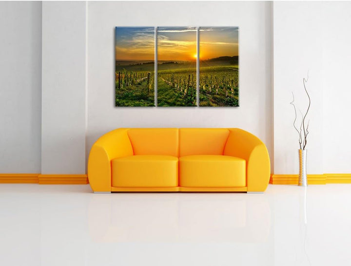 Pixxprint Weinberg in Bergerac Frankreich als Leinwandbild | Grösse: 3 Teilig (120x80) | Wandbild| K
