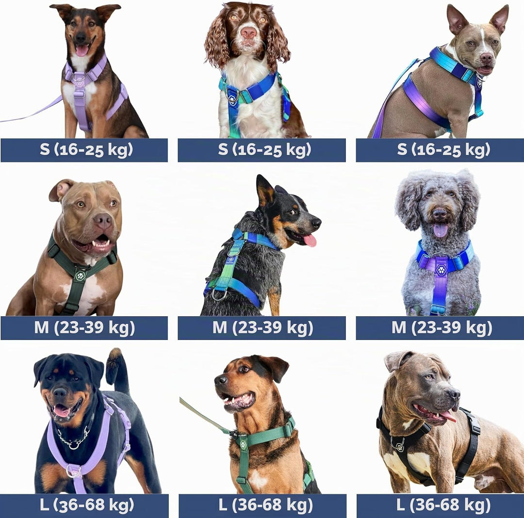 Spark Paws No Pull Hundegeschirr Grosse Hunde, Halterdesign mit Frontclip, Y Geschirr Hund, Robust u
