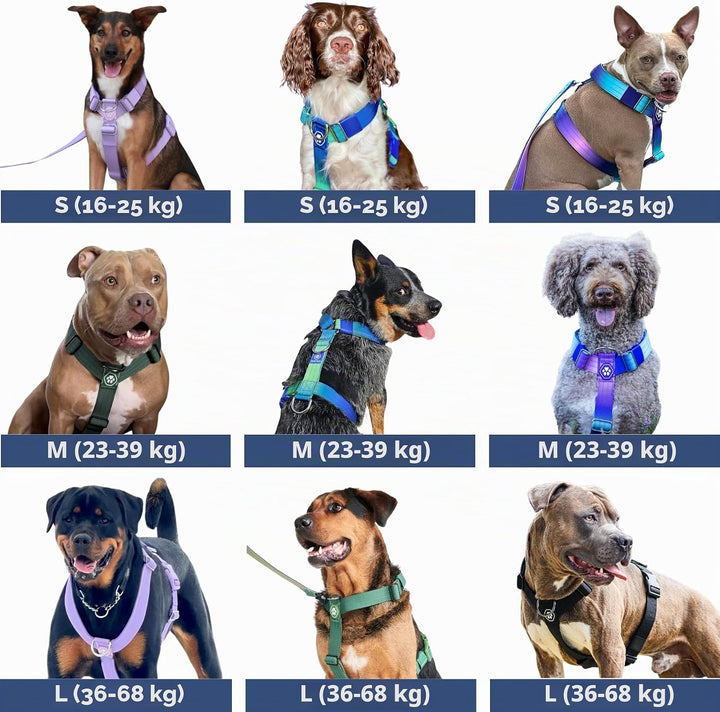 Spark Paws No Pull Hundegeschirr Grosse Hunde, Halterdesign mit Frontclip, Y Geschirr Hund, Robust u