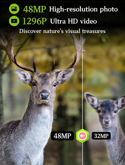 2tlg. Wildkamera Fotofalle Beute Kamera JagdKamera, 32MP HD Video, 36pcs IR LED No-Glow Nachtsicht W