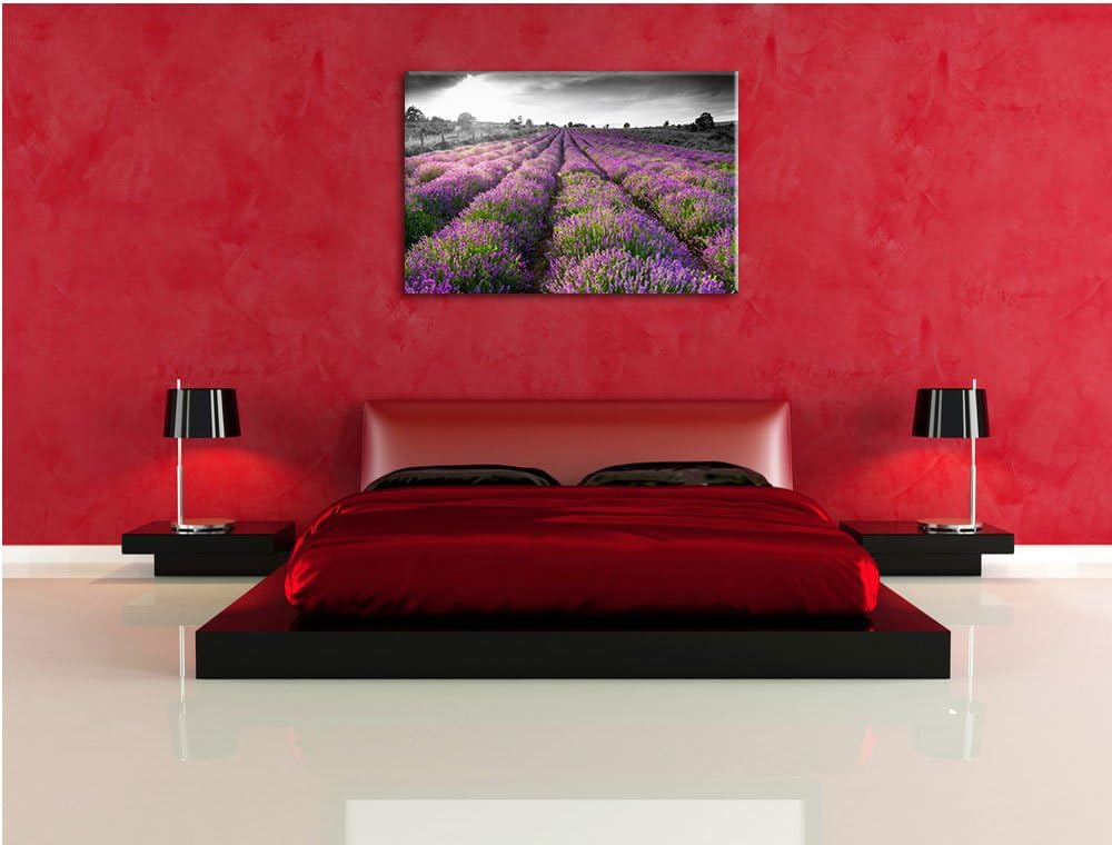 Lavendelfelder in der Provence schwarz/weiss Format: 100x70 auf Leinwand, XXL riesige Bilder fertig