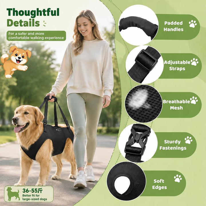 Tragehilfe Hund, Hunde Tragehilfe, Tragegurt Hund mit Verstellbaren Griffen | Tragegeschirr Hund, Tr