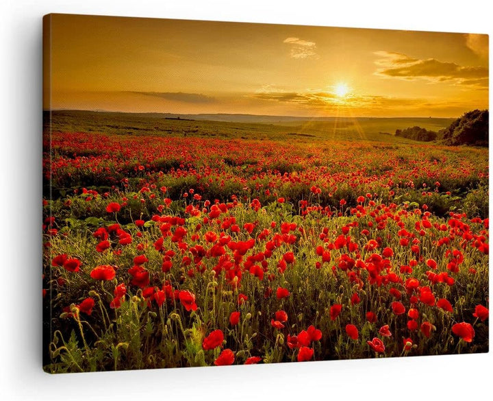 Bilder auf Leinwand Mohn Blume Wiese Leinwandbild mit Rahmen 70x50cm Wandbilder Dekoration Wohnzimme