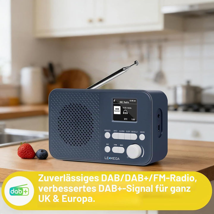 LEMEGA DAB Go DAB+/UKW Radio,Bluetooth,Farbdisplay,AA-Batterie,Dunkelgrau | Digitalradio,Doppelalarm