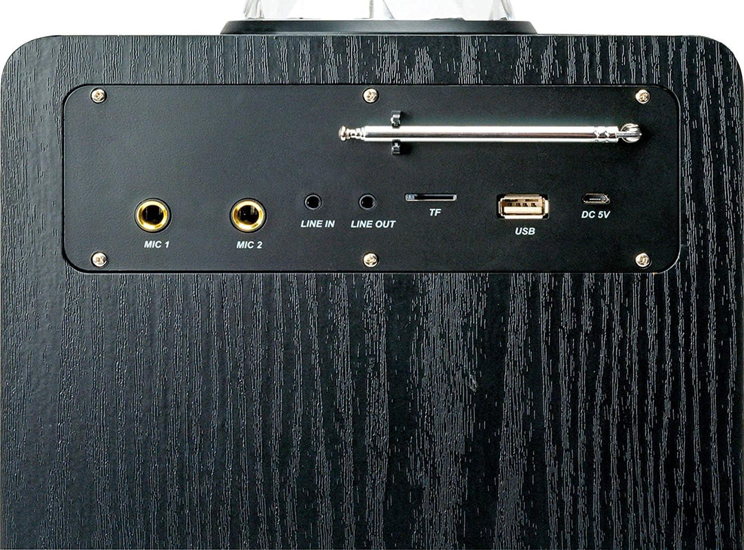 SCHWAIGER 661675 Tragbarer Party-Lautsprecher Party Box Discokugel Discolicht Karaoke Stereo Soundan