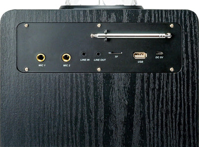 SCHWAIGER 661675 Tragbarer Party-Lautsprecher Party Box Discokugel Discolicht Karaoke Stereo Soundan