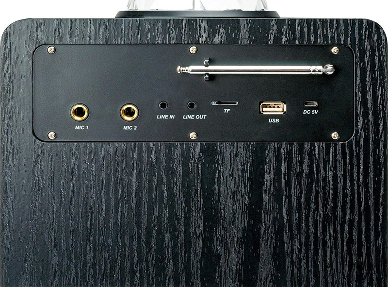 SCHWAIGER 661675 Tragbarer Party-Lautsprecher Party Box Discokugel Discolicht Karaoke Stereo Soundan