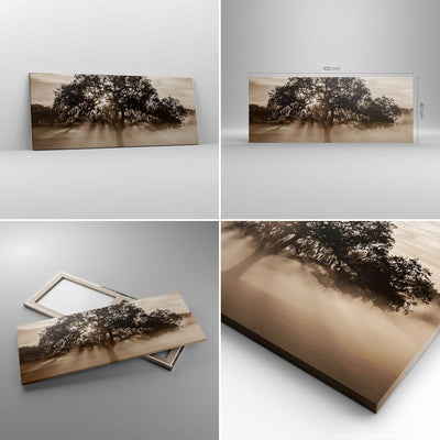 Panorama Bilder auf Leinwand 100x40cm Leinwandbild mit Rahmen Baum Feld Natur Gross Wanddeko Bild Sc