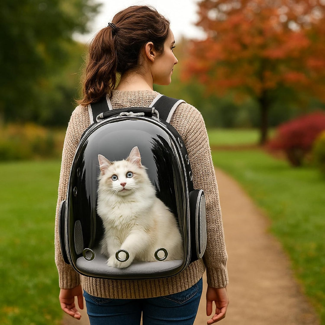 QLS Katzenrucksack – 40x30x28 cm – Transporttasche mit Belüftungslöchern für Katzen und kleine Hunde