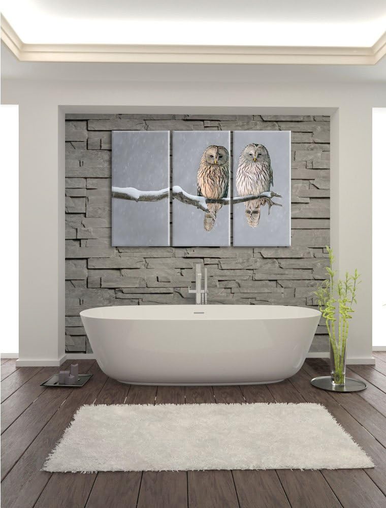 Pixxprint 2 Schneeeulen Bild 3-Teiler Leinwandbild 120x80 Bild auf Leinwand