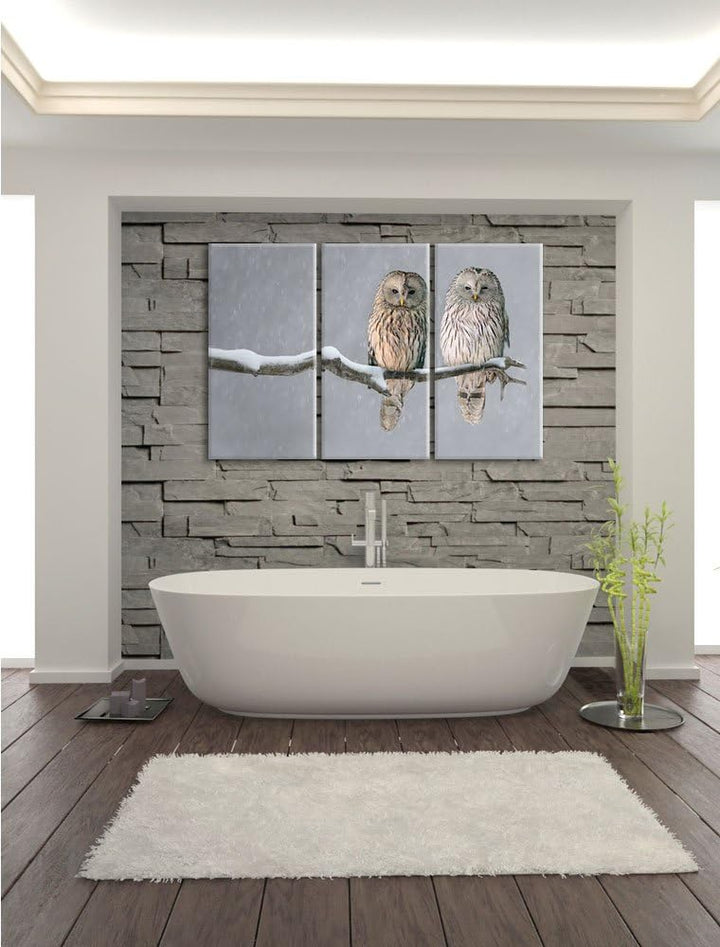 Pixxprint 2 Schneeeulen Bild 3-Teiler Leinwandbild 120x80 Bild auf Leinwand