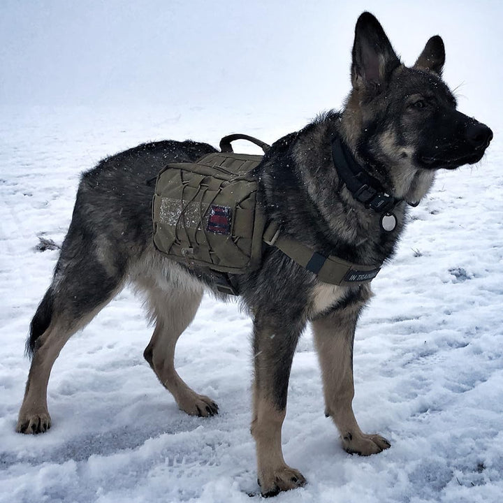 EXCELLENT ELITE SPANKER Dog Pack Hound Hundesatteltasche Rucksack für Reisen Camping Wandern mittler