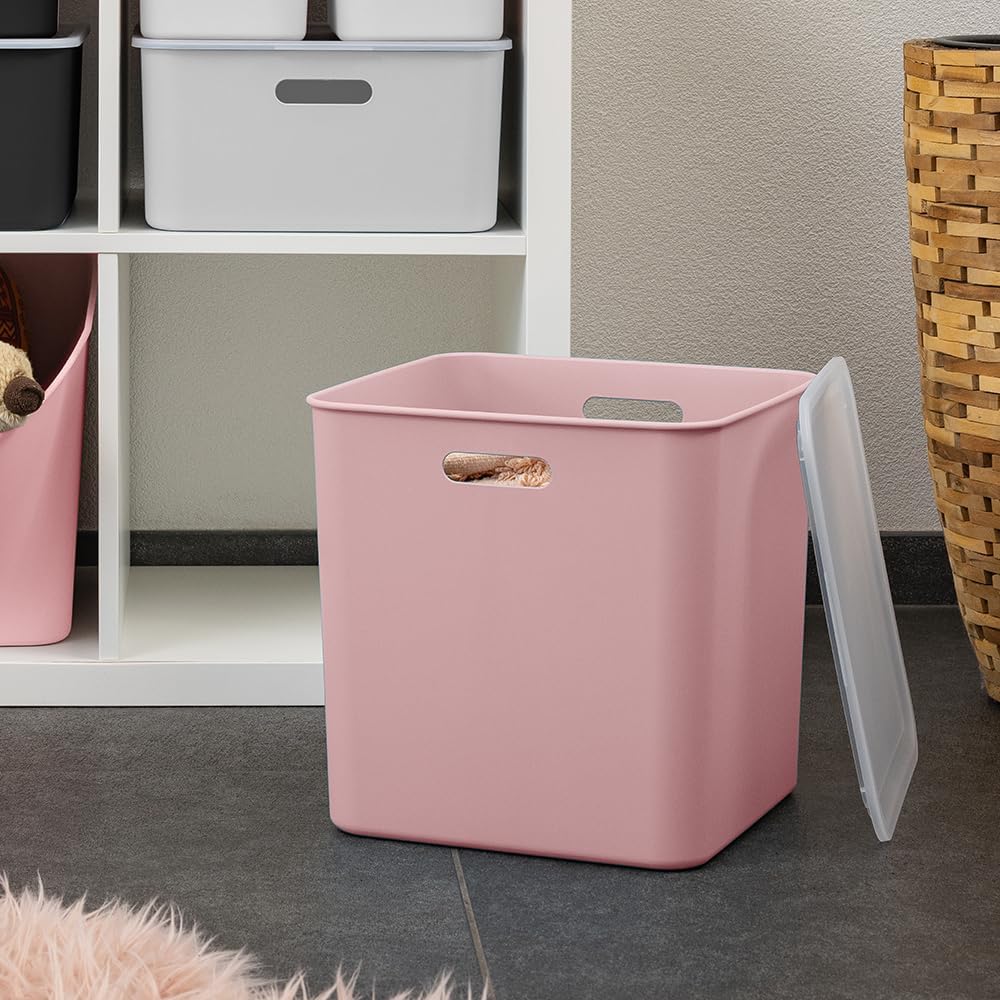 Sunware Sigma Home Aufbewahrungsboxen Klein 25L - 31,8 x31,8x 31,1cm - Kunststoff Aufbewahrungsbox O