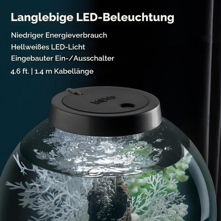 biOrb 72005 CLASSIC 30 LED schwarz - dekoratives Aquarium Komplett-Set mit Filter-System, LED-Beleuc