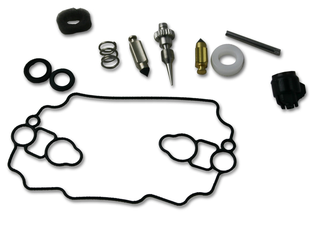 Briggs & Stratton 842873 Vergaser-Überholungs-Kit
