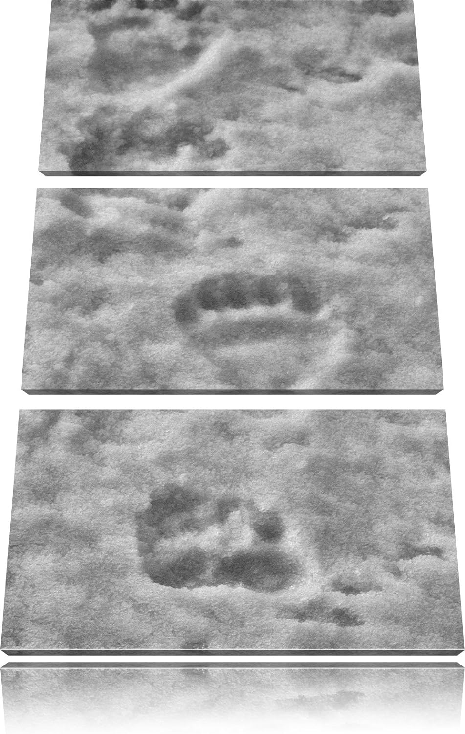 Pixxprint Monocrome, Tierspuren im Schnee 3-Teiler Leinwandbild 120x80 Bild auf Leinwand