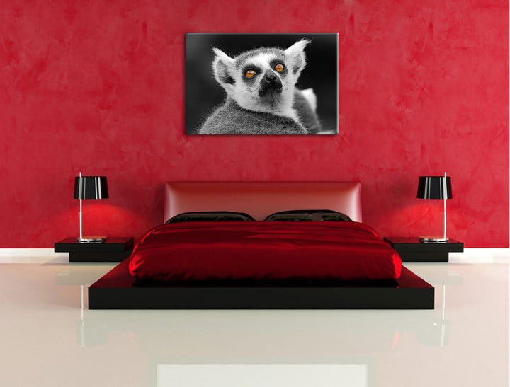 Pixxprint bildschöner Katta schwarz/weiss auf Leinwand, XXL riesige Bilder fertig gerahmt mit Keilra