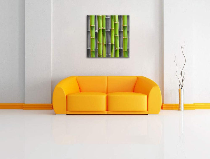 Pixxprint frischer grüner Bambus als Leinwandbild/Grösse: 70x70 cm/Wandbild/Kunstdruck/fertig bespan