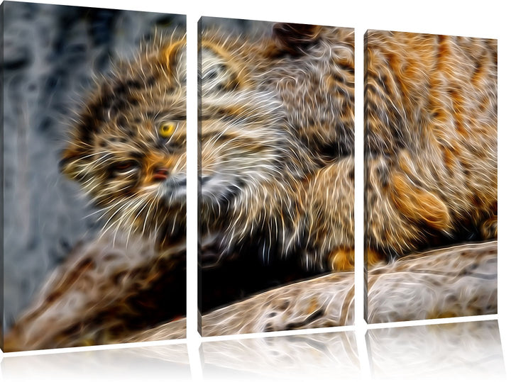 kleine Manul auf Stein Spezial 3-Teiler Leinwandbild 120x80 Bild auf Leinwand, XXL riesige Bilder fe