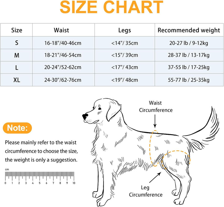 Dotoner Tragehilfe Hund, Anpassbare Tragehilfe für Alle Hundegrössen, Stabiler Beinsupport & Treppen