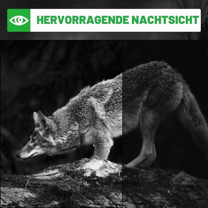 Coolifepro Wildkamera, 4K Video Wildtierkamera, 48MP Wildtierkamera mit Nachtsicht Bewegungsmelder,