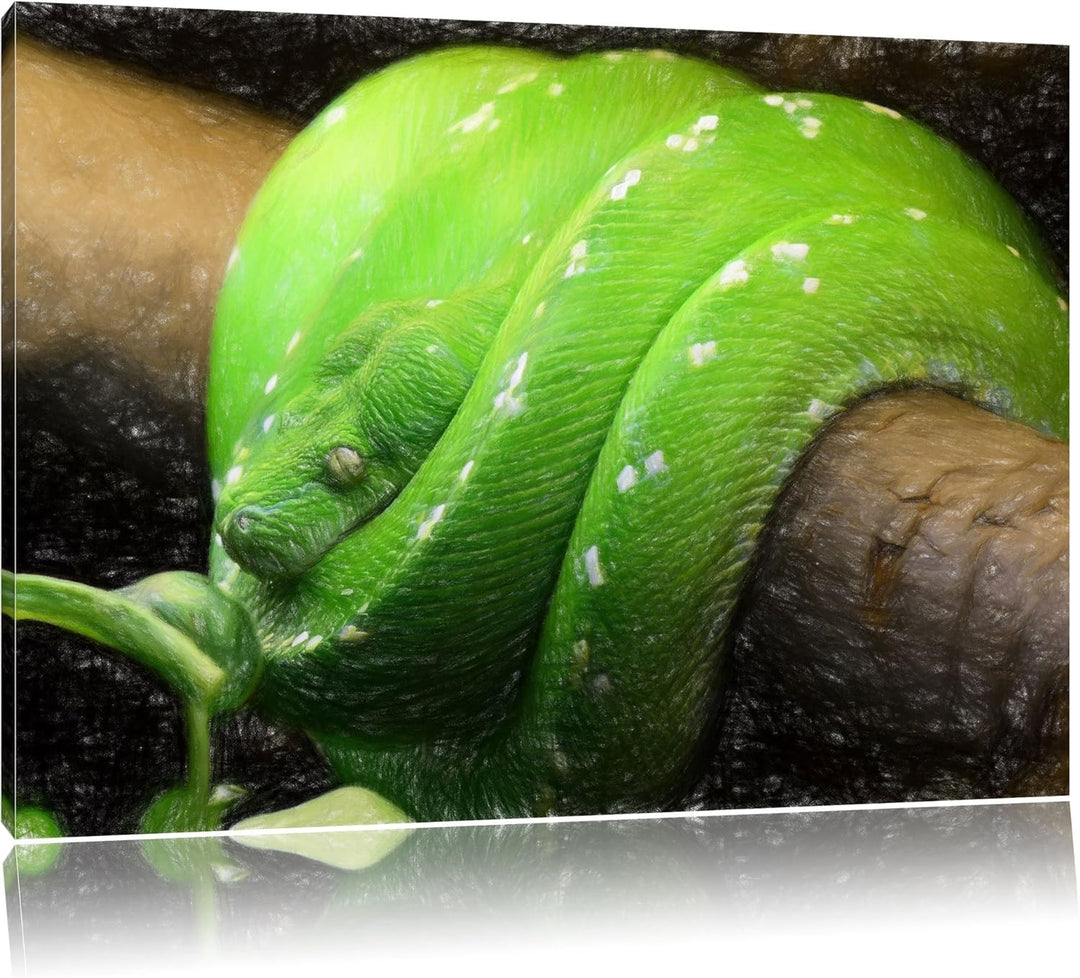 Pixxprint Grüne exotische Schlange als Leinwandbild/Grösse: 100x70 / Wandbild/Kunstdruck/fertig besp