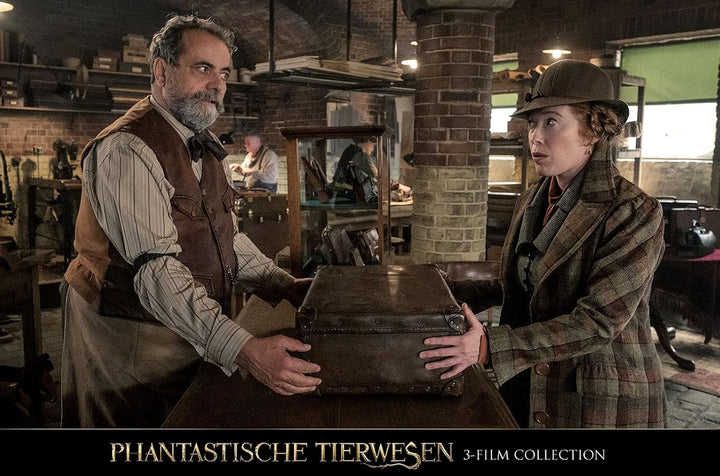 Phantastische Tierwesen 3-Film Collection [3 DVDs], DVD