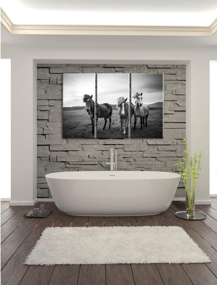 Pixxprint DREI Wilde Islandpferde Schwarz/Weiss 3-Teiler Leinwandbild 120x80 Bild auf Leinwand