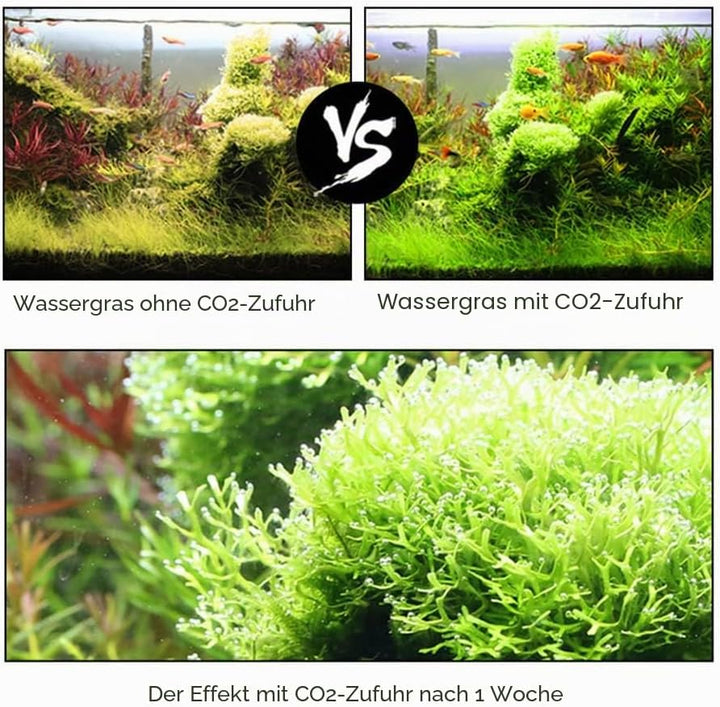 Ailgely 5L CO2-Generator-System-Kit für Doppel Aquarium CO2-Edelstahl-Zylinder-Generator-System mit