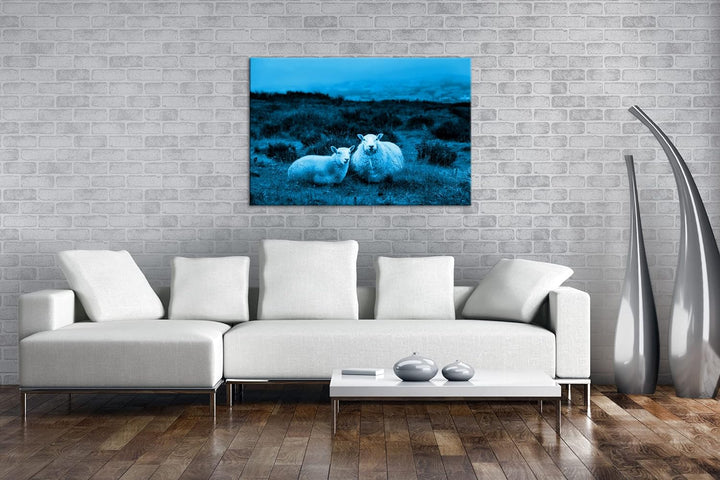 deyoli zwei niedliches Schafe Format: 80x60 Effekt: Monocrome Blau als Leinwandbild, Motiv fertig ge