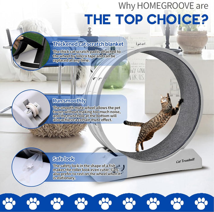 homegroove 31,5 Zoll Katzenräder für Indoor-Katzen, Plastik Katze Übung Laufband Rad mit Teppich Sta