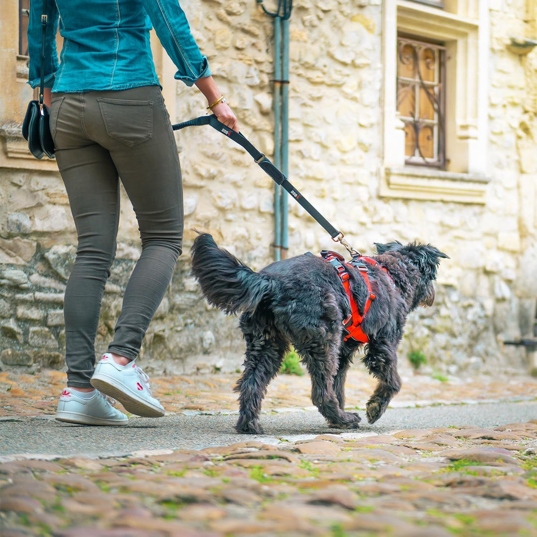 Trek I-Dog Comfort Hundegeschirr, Rot (S), S