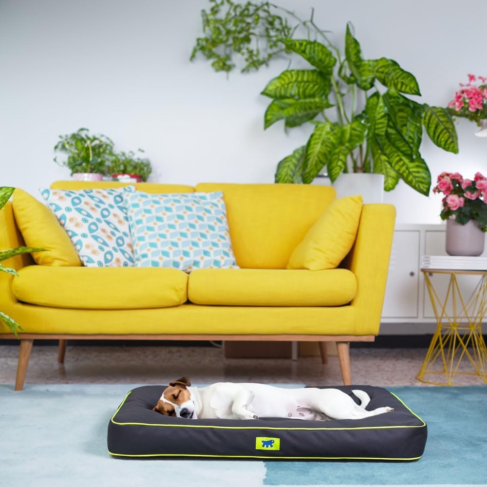 FERPLAST Hundematte & Katzenmatte Klein - Orthopädisches Hundebett - Hundebett Waschbar & Kratzfest